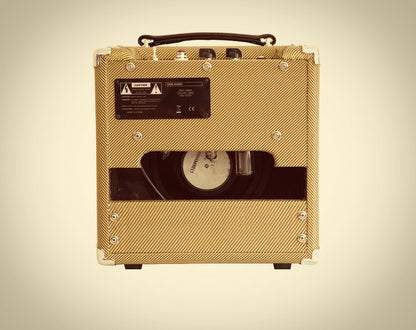 Juketone 'Royal Blood' 8 Guitar Amplifier 5F2a
