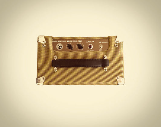 Juketone 'Royal Blood' 8 Guitar Amplifier 5F2a