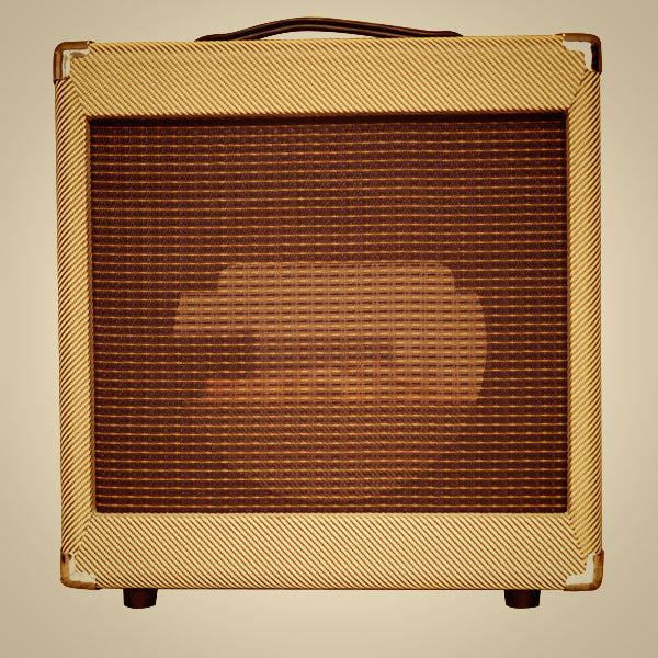 Juketone 10” Empty Tweed Speaker Cabinet